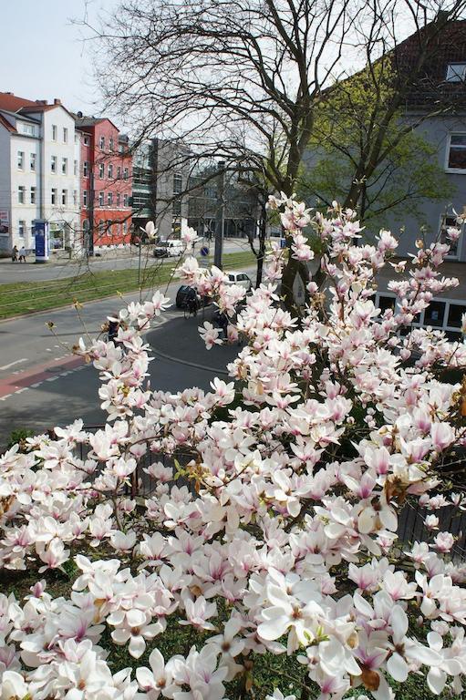 Pension No. 55 Erfurt Exterior foto